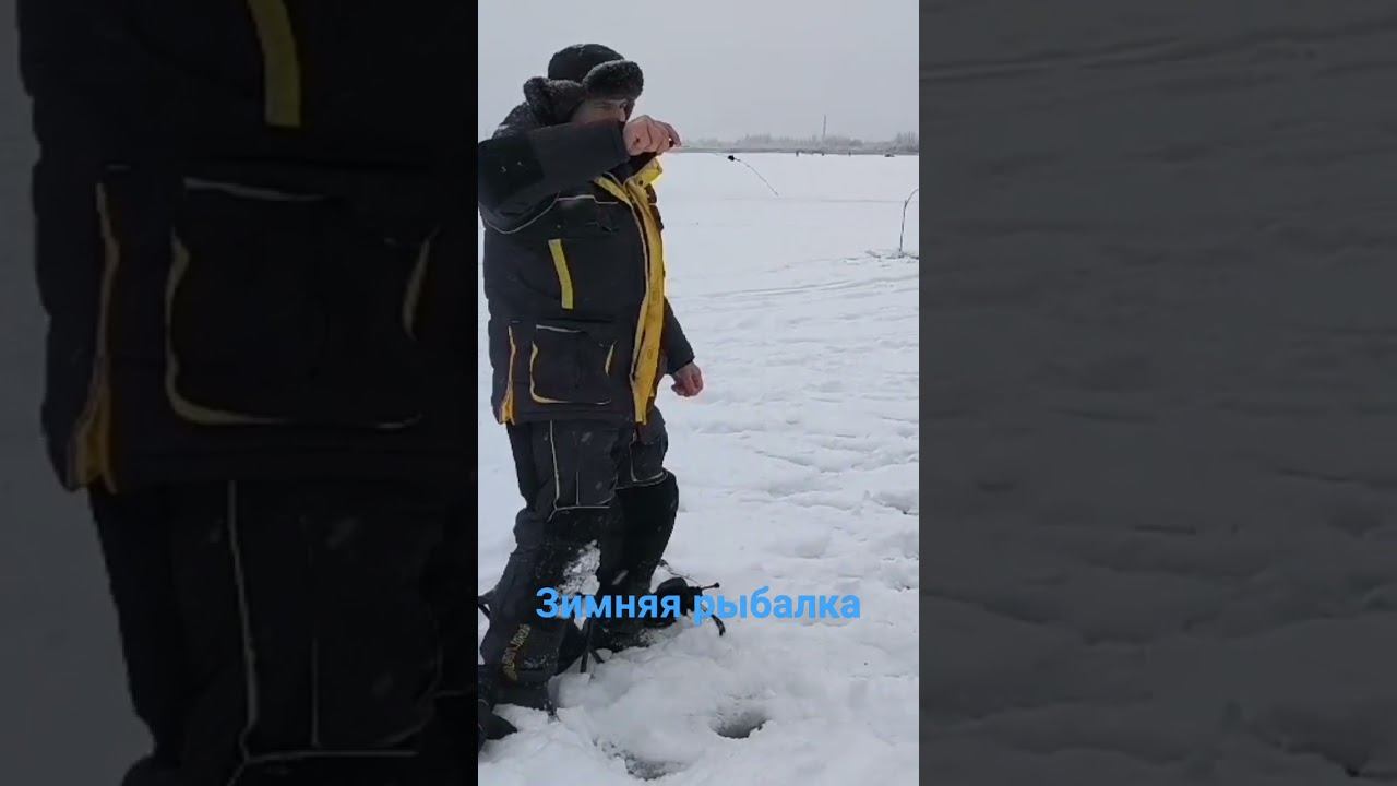 РЫБАЛКА ВЫХОДНОГО ДНЯ #зимняяловлярыбы #рыбалка #хитрыйосëтр смотреть онлайн
