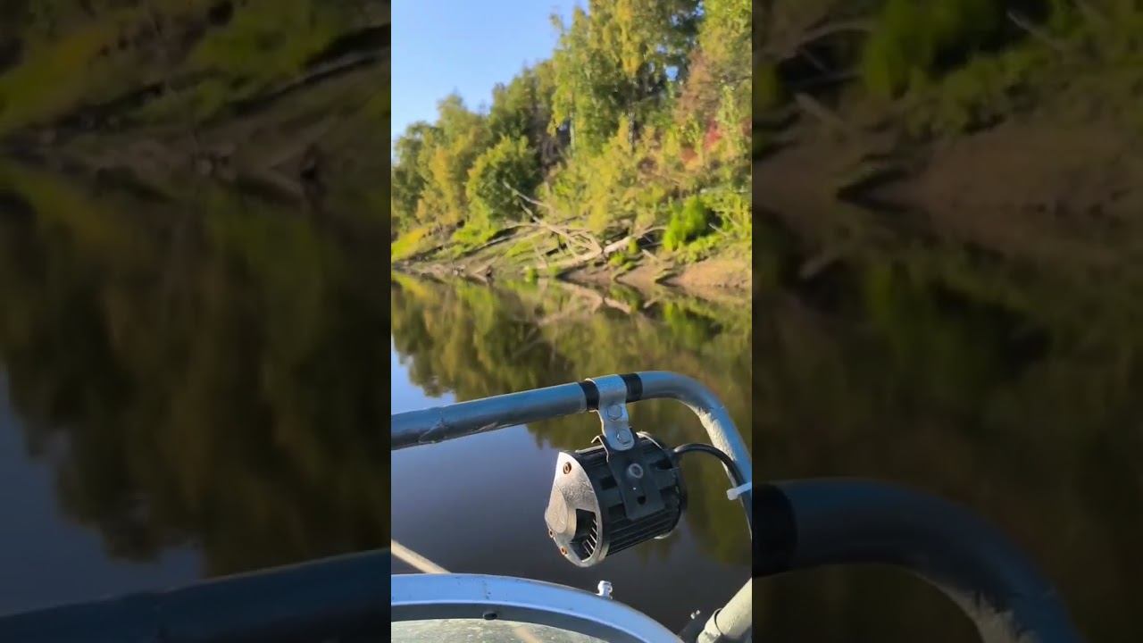 #хитрыйосётр #рыбалка #природа смотреть онлайн