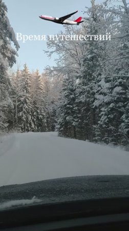 Дорога в заснеженном лесу