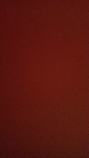 вечер нее предложение