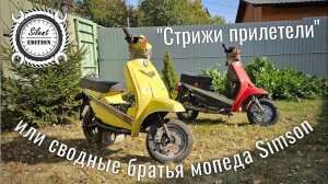 "Стрижы прилетели" или сводные братья мопеда Simson