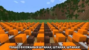 Кожаные штаны