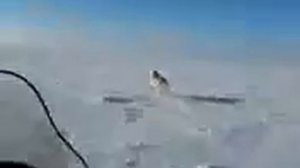 Охота на волков в Казахстане