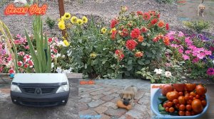 Из Германии в Россию на ПМЖ. Машина готова/ Джексон растет/суббота есть суббота