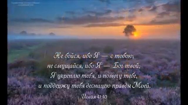 TOP Песни Прославления SokolovBrothers