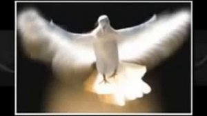 Методи Георгиев Както птица