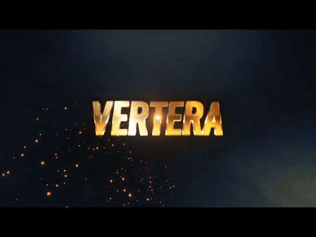 Чат бот телеграм для партнеров компании VERTERA