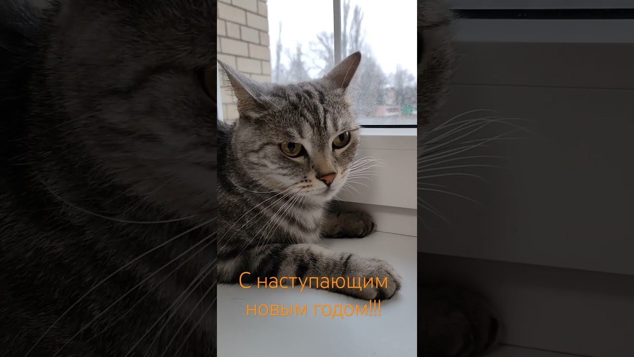 С Новым 2024 годом!!!! смотреть онлайн