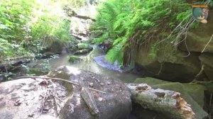 Платиновый ручей