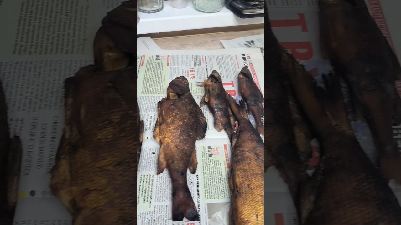 Рыбалка! Свежайщая копченая рыбка! #рыбалка #охота #рыбалочка смотреть онлайн