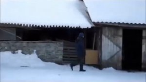 СНЕЖНАЯ СКАЗКА В ДЕРЕВНЕ "ВАНИНО"