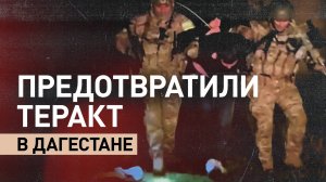 ФСБ задержала в Дагестане 12 членов террористической ячейки — видео
