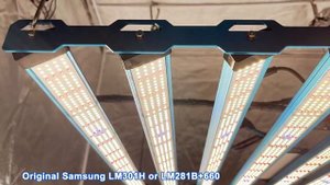 Kingbrite x55 800w