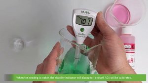 How to Calibrate the IC-HI981030 GroLine Soil pH Tester