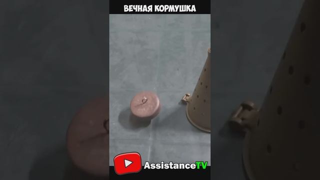 Как сделать КОРМУШКУ   САМООТВАЛ своими руками! Самоделки для Зимней рыбалки #рыбалка #первыйлёд