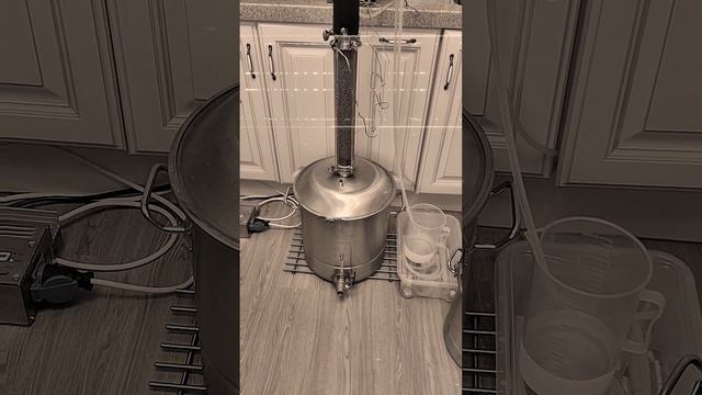 Разбавлять или нет, вот в чём вопрос 🤔