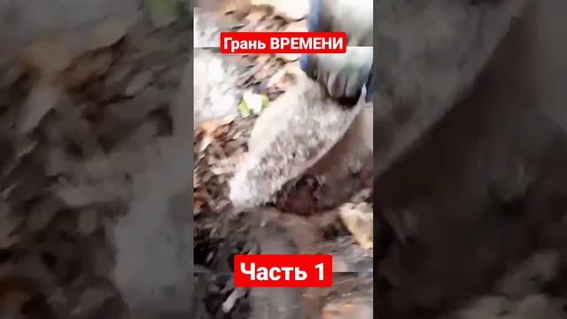 грань времени часть 1 #воронеж #приключения #shorts смотреть онлайн