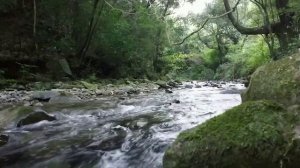 Звуки воды. Настоящие