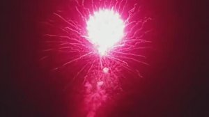 5 Dancing Assorted display shells A25 2411080p