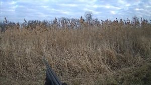 Трэш с ружьём, ружье не выдержало и развалилось))) Насыщенная охота в Ленинградском р-не.