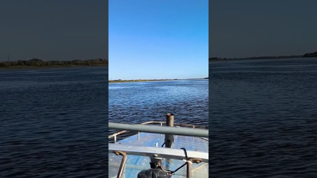 Уже совсем скоро! #рыбалка #зимняяловлярыбы #охота #сети смотреть онлайн