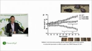 Гипокситерапия и митохондриальная медицина