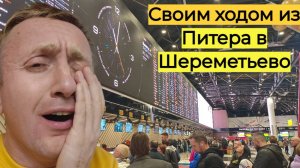 Как из Санкт-Петербурга добраться в Шереметьево. Куда намылился Коршун.