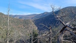 7 декабря Байдарская долина