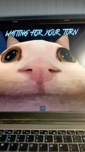 пж зайдите я играю в мм2