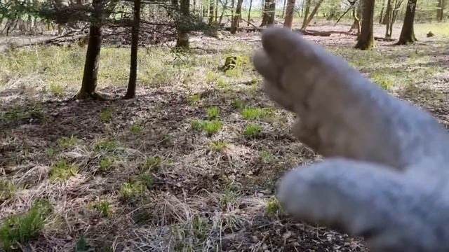 Удивительные находки в лесу с металлоискателем.