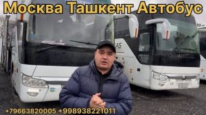 автобус тошкент масква автобус москва узбекистан