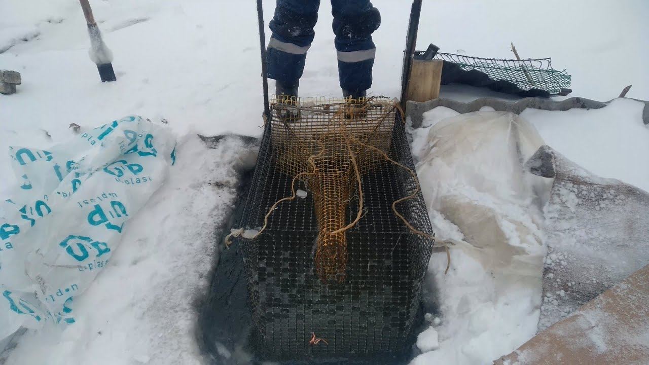 ✔Рыбалка 2021 на Хищника Зимой - Щука, Карась на Мормышку/Проверяем Мордушки! смотреть онлайн