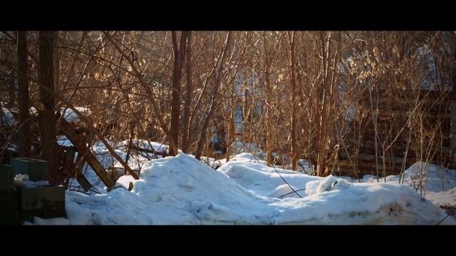 Курица в сливочно-остром соусе смотреть онлайн