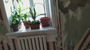 Купила квартиру. Делаю ремонт. Начало.