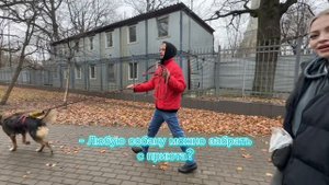 Твори добро,бро#3(приют для собачек)