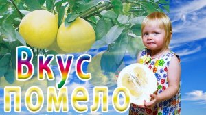 Самый Полезный и Экзотический фрукт для детей - ПОМЕЛО!