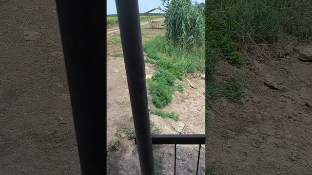 #мудрость #жиза #life