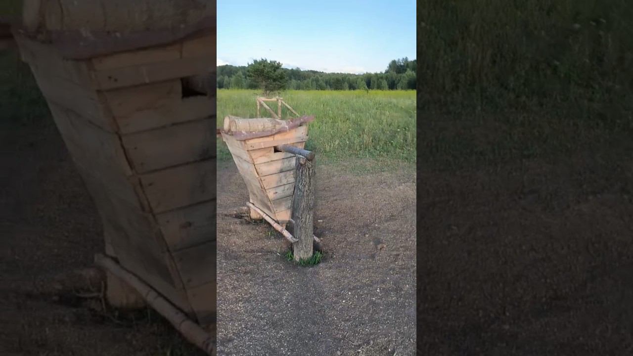 Охотхозяйство Чугунаевское. Охота на кабана! #охота #кабан #приключения #природа смотреть онлайн