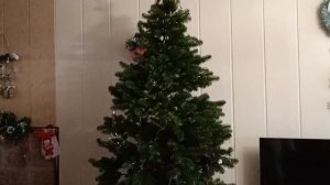 1000038574.mp4 #Наряжаю ёлку #