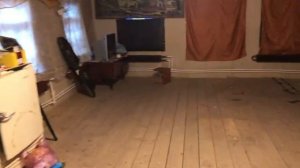 Дом и дачный участок а Тульской области. Не дорого..