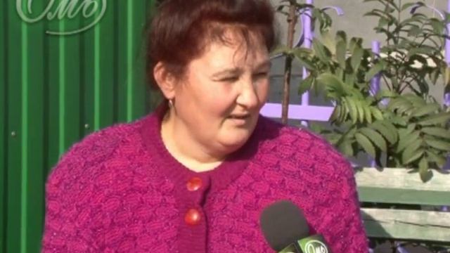 Собака Жуля смотреть онлайн