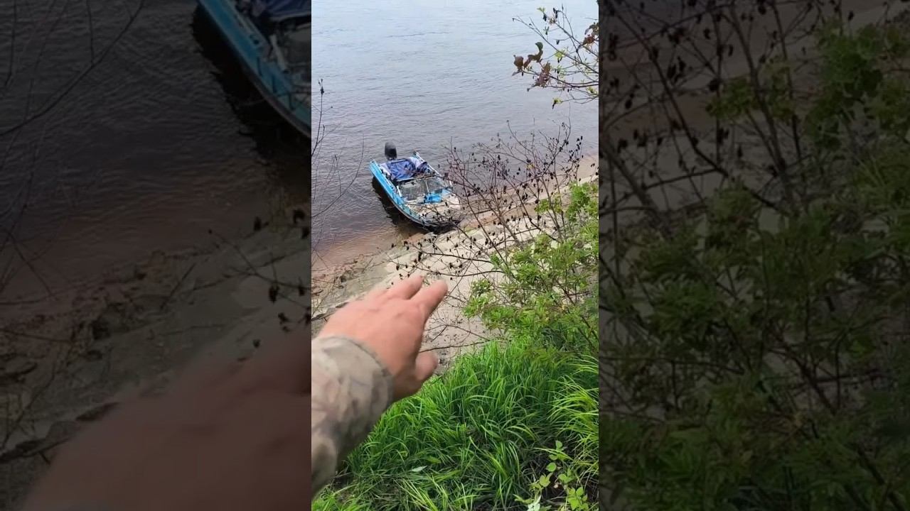 Рыбацкая лесная изба, осень. #рыбалка #лес #изба #осень #река #природа #музыка #приключения смотреть онлайн