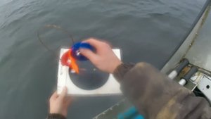 Трудовой судак на жерлицы с лодки!