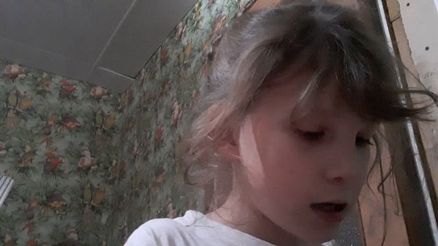 табо  лапка