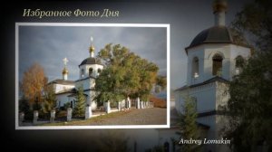 ИФД ЛФЖ 11_2024