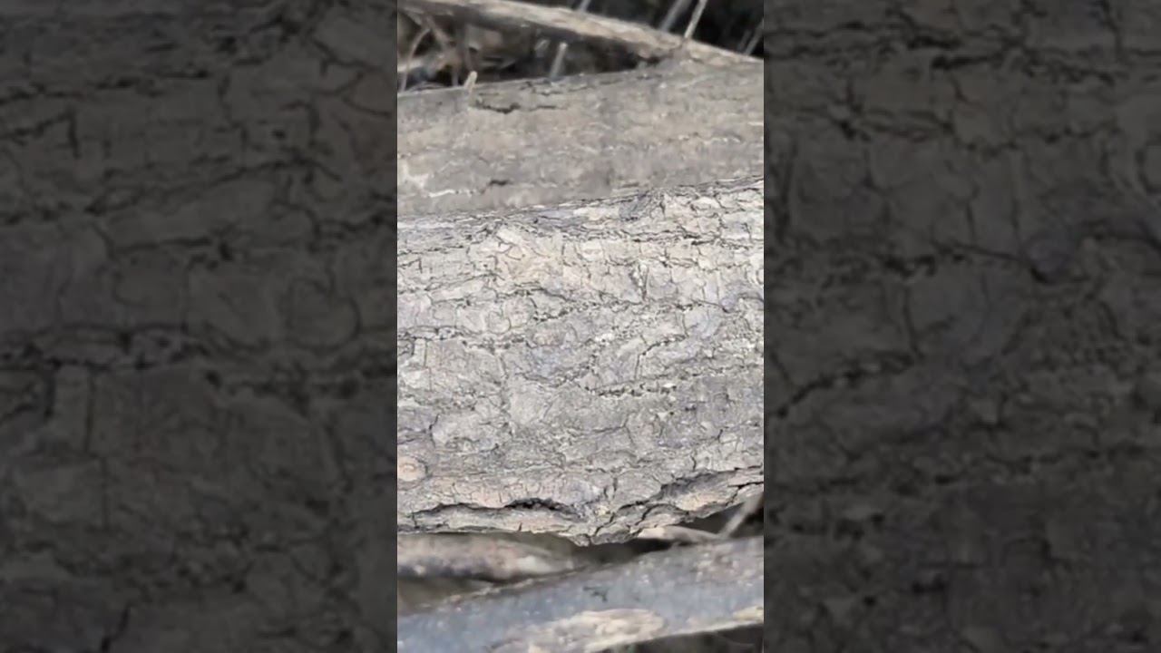 Лайфхаки для лодочников! #хитрыйосётр #рыбалка #сети #лодки смотреть онлайн