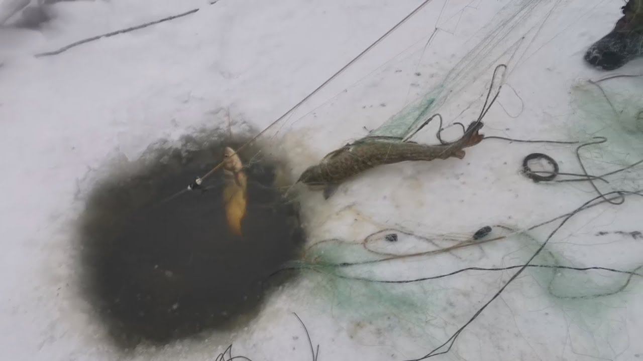 Рыбалка На Сети в -30. (АРХИВНОЕ ВИДЕО) смотреть онлайн