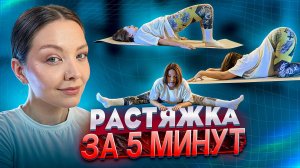 РАСТЯЖКА ЗА 5 МИНУТ