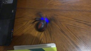 Робот ПАУК на пульте