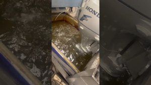 РАБОТА ЛОДОЧНОГО МОТОРА HONDA 15